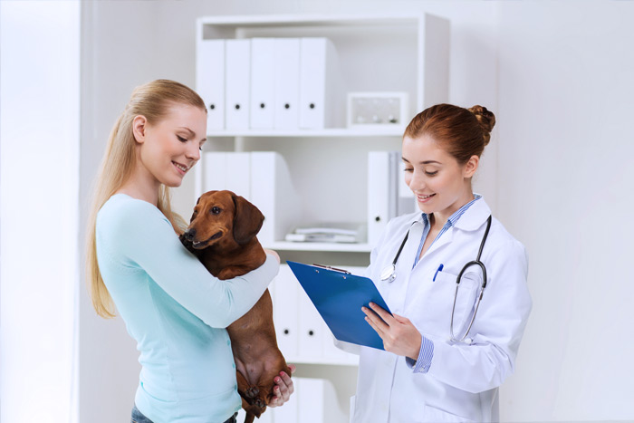 ЭЦП для оформления ветеринарных сертификатов (ГИС Меркурий) в Буздяке
